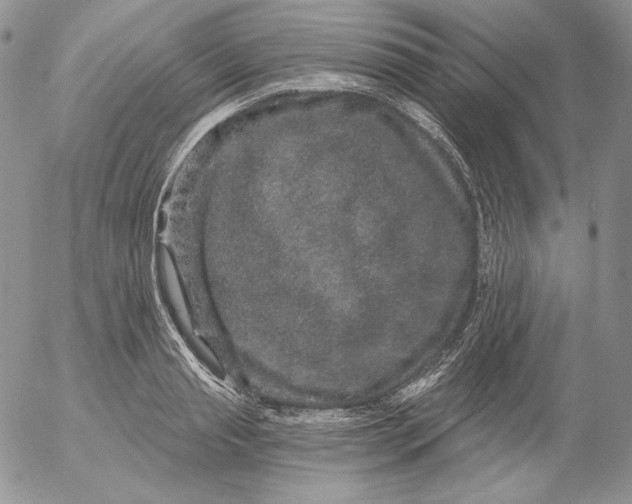 X0000053060845200508011912