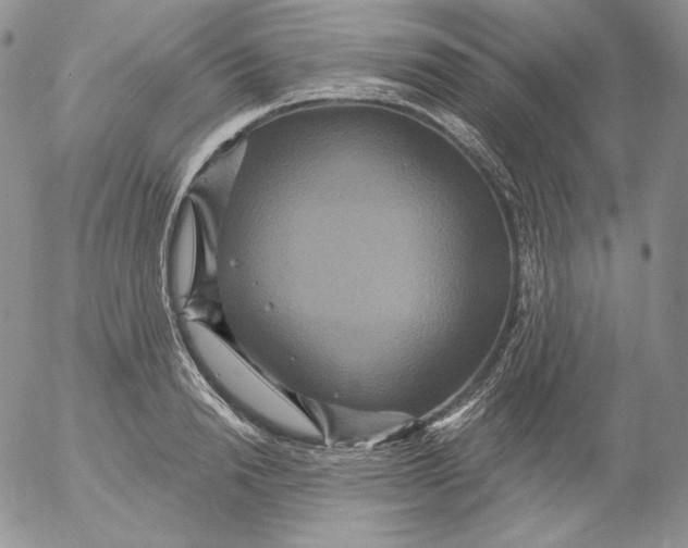 X0000053060846200508011912