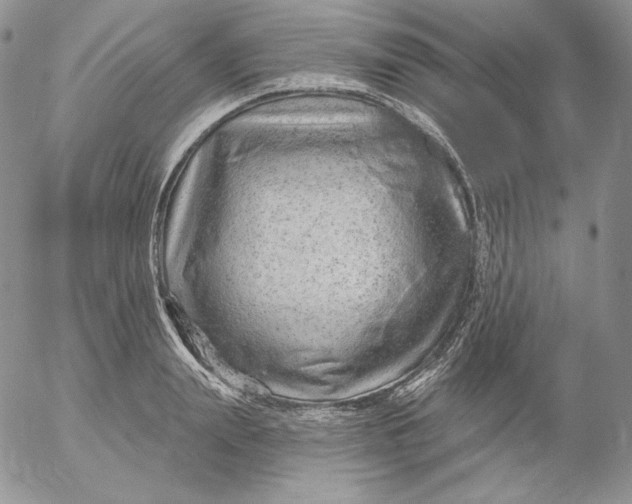 X0000053060847200508011912