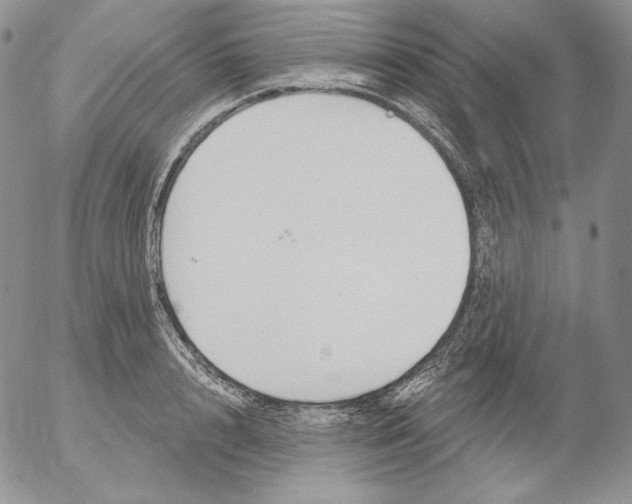 X0000053060848200508011912