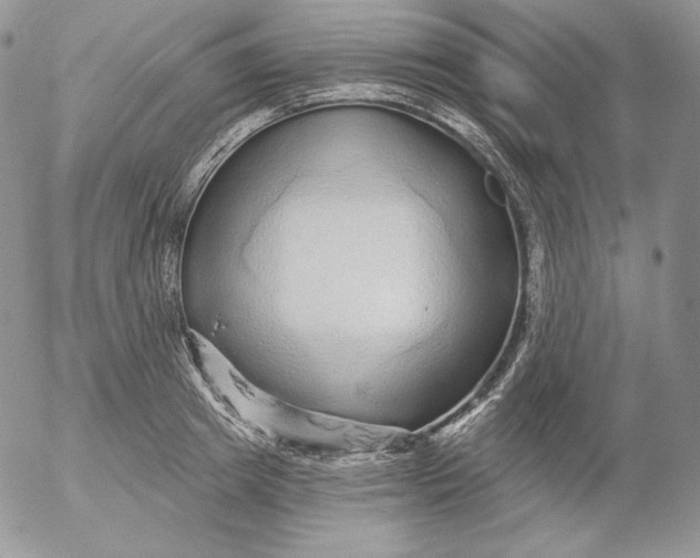 X0000053060849200508011912