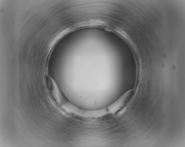 X0000053060850200508011912