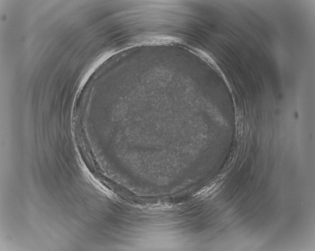 X0000053060851200508011912