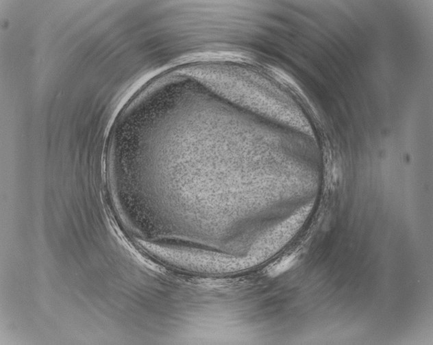 X0000053060852200508011912