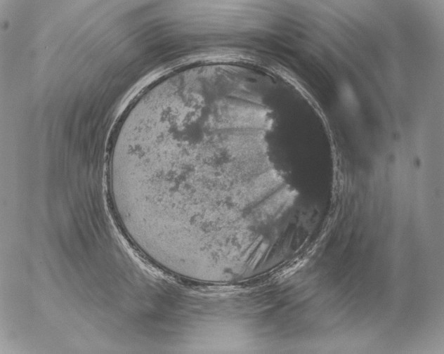 X0000053060853200508011912