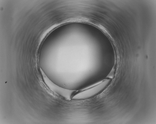 X0000053060854200508011912