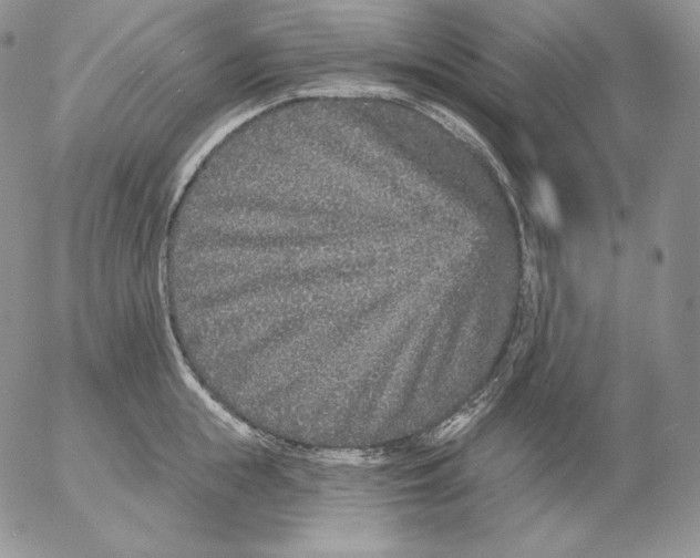 X0000053060855200508011912