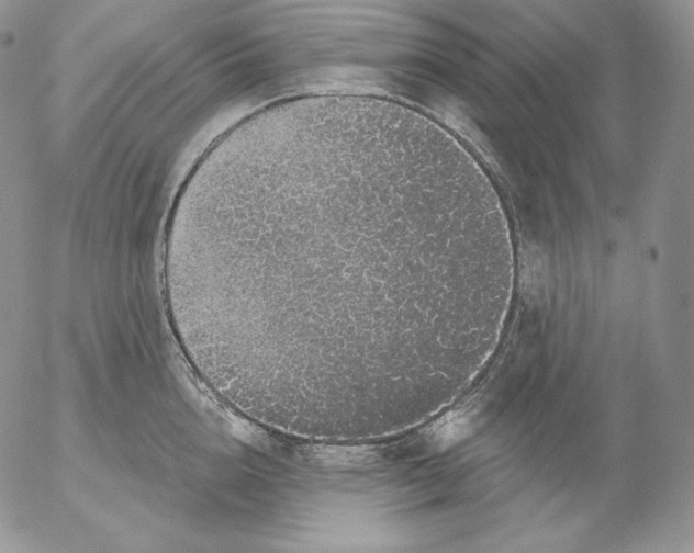 X0000053060856200508011912