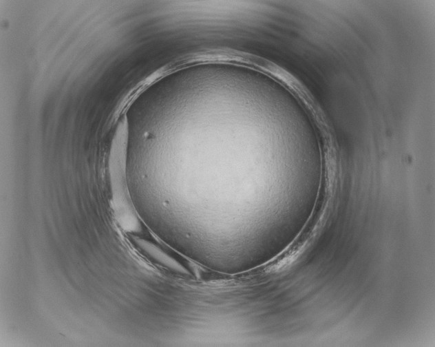 X0000053060857200508011912