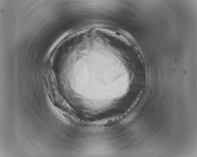 X0000053060859200508011912