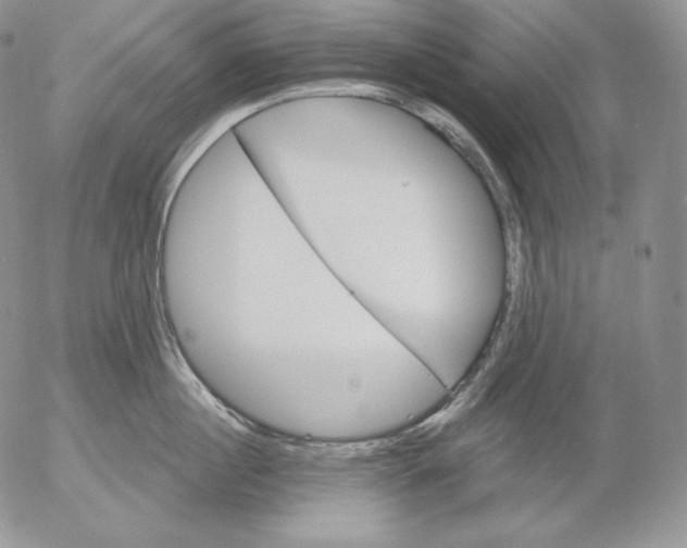 X0000053060860200508011912