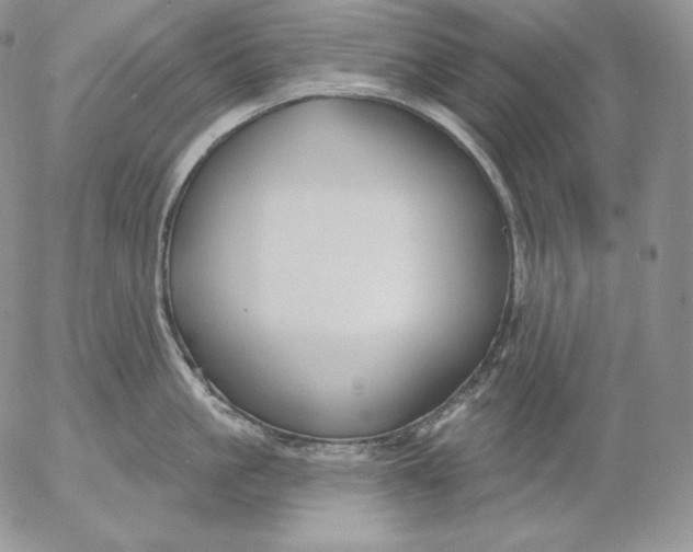 X0000053060861200508011912