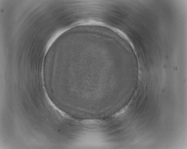 X0000053060863200508011912