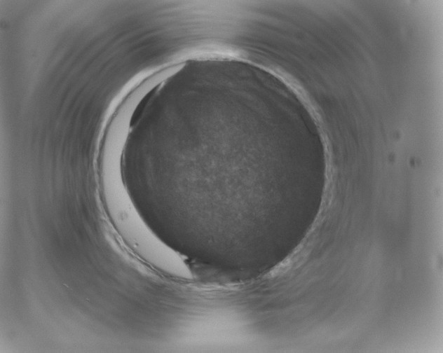 X0000053060864200508011912