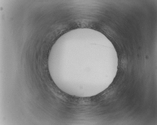 X0000053060865200508011911