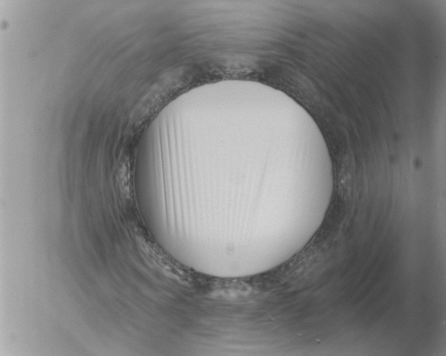 X0000053060866200508011911