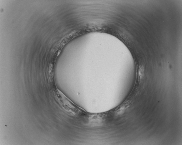 X0000053060867200508011911