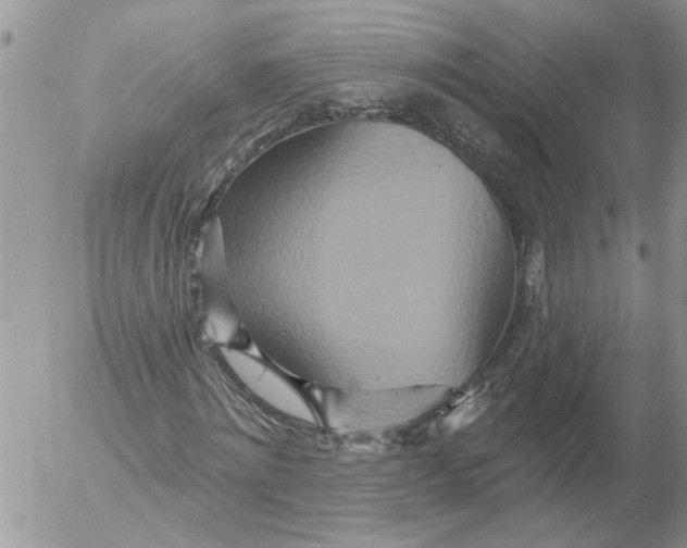 X0000053060868200508011911