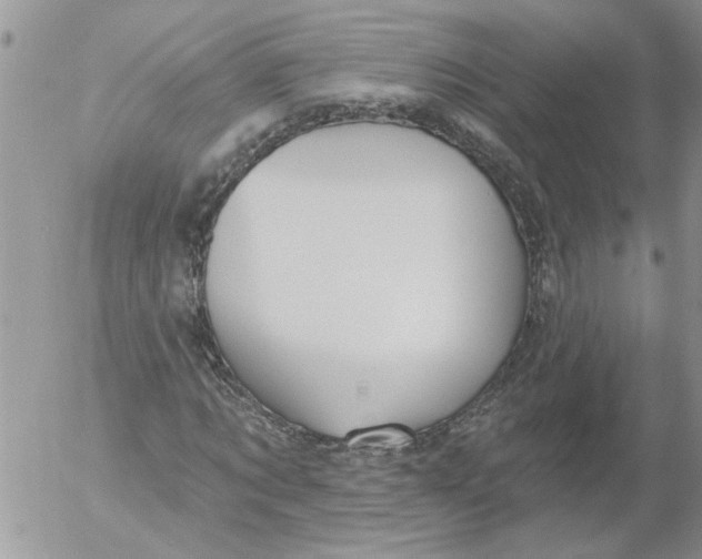 X0000053060869200508011911