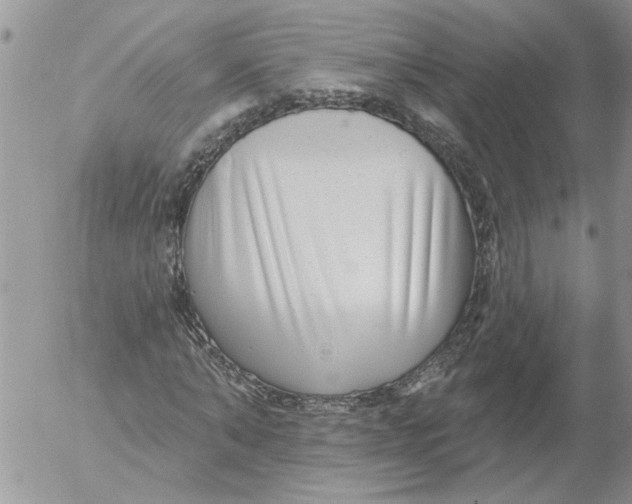 X0000053060870200508011911