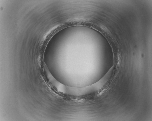 X0000053060872200508011911