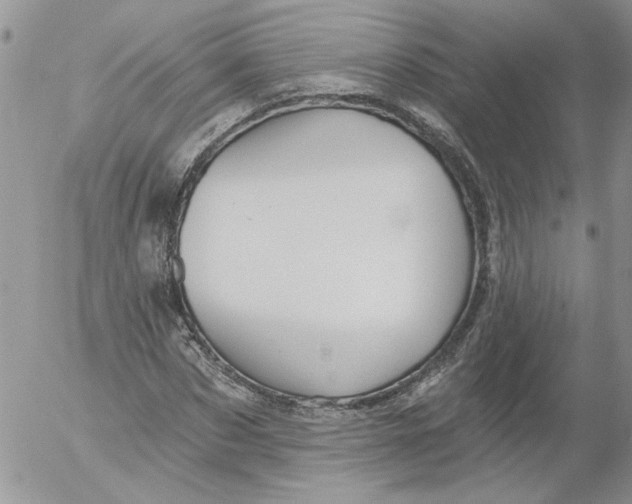 X0000053060873200508011911