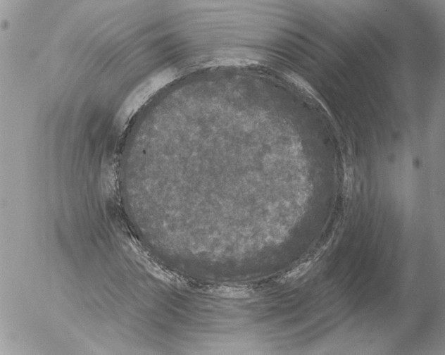 X0000053060874200508011911