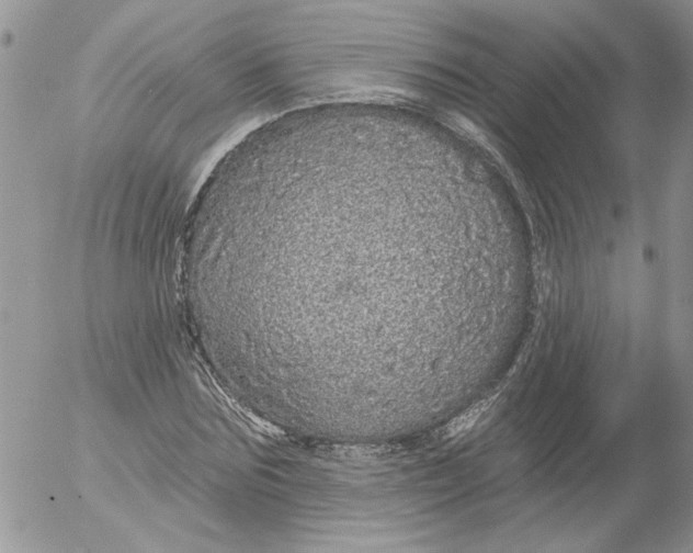 X0000053060875200508011911