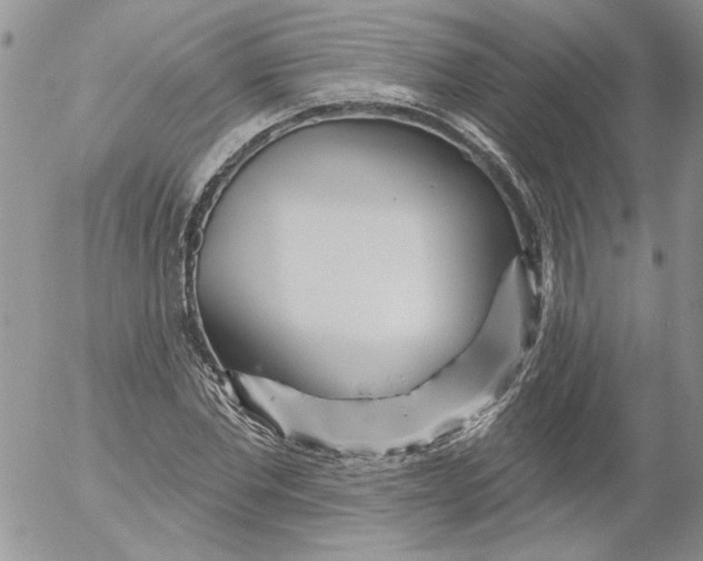 X0000053060877200508011911