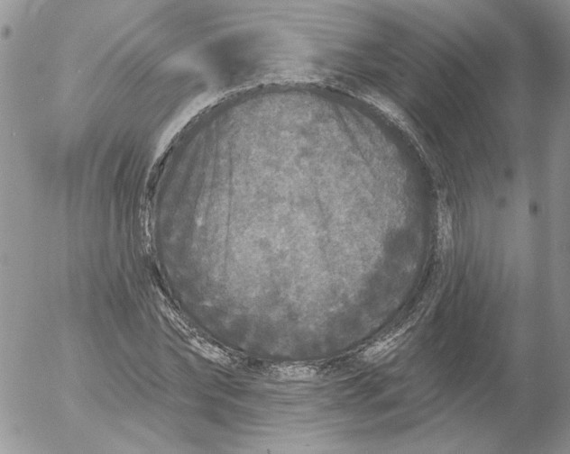 X0000053060878200508011911