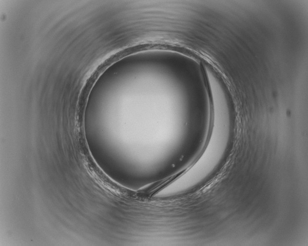 X0000053060880200508011911