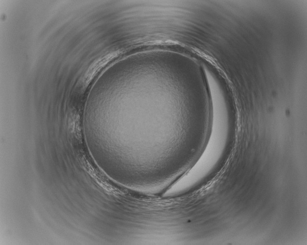 X0000053060881200508011911