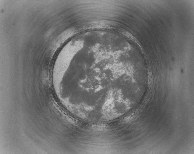 X0000053060882200508011911