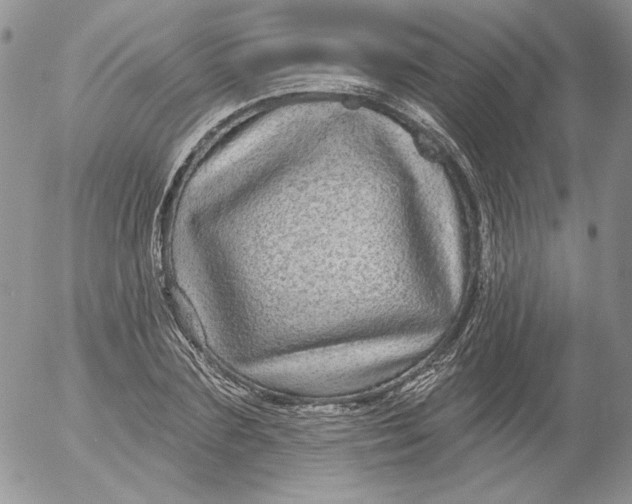 X0000053060883200508011911