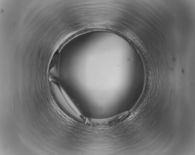 X0000053060884200508011911