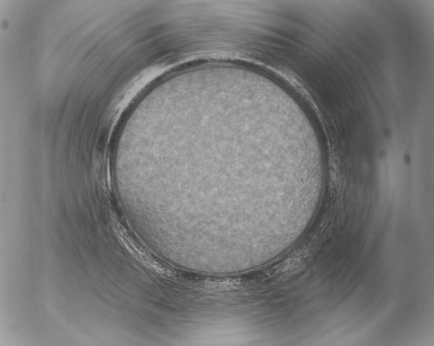 X0000053060887200508011911