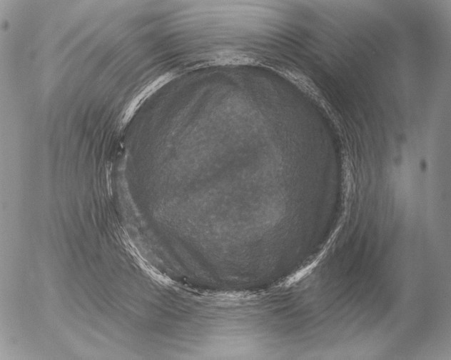 X0000053060889200508011911