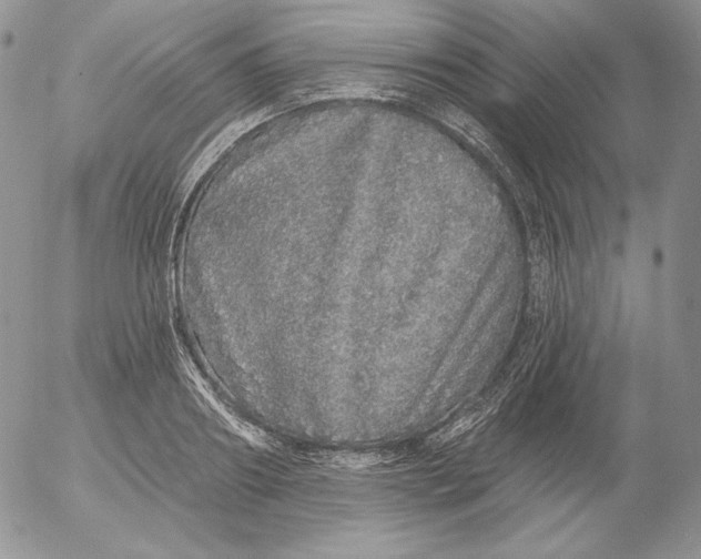 X0000053060890200508011911