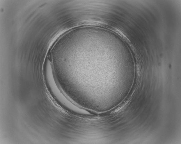 X0000053060891200508011911