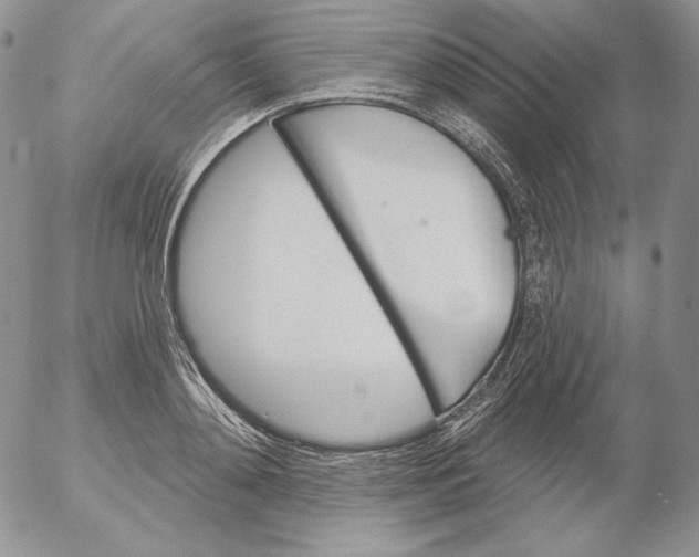 X0000053060892200508011911