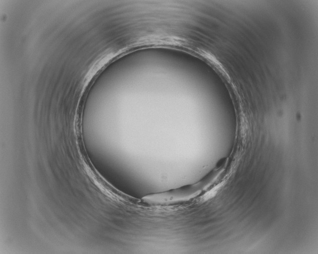 X0000053060893200508011911