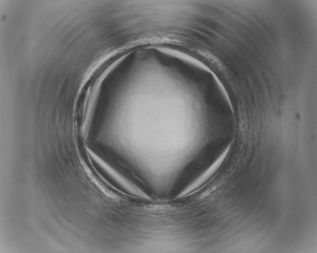 X0000053060894200508011911