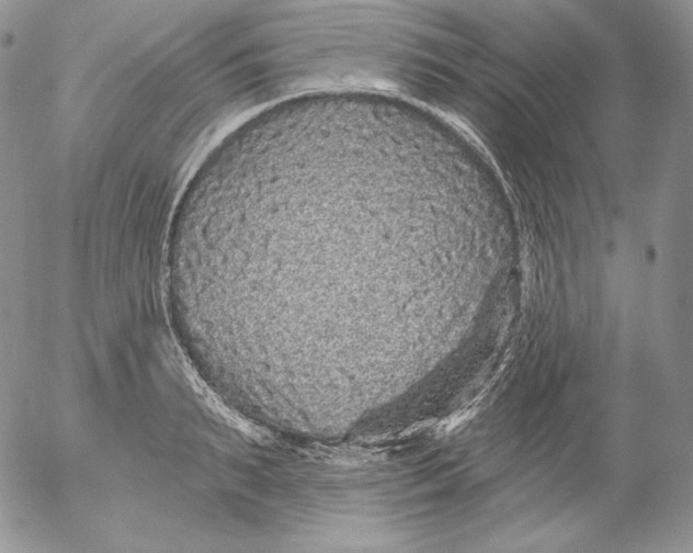 X0000053060895200508011911