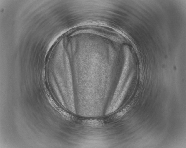 X0000053060896200508011911