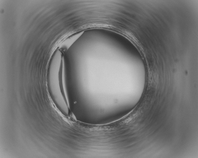 X0000053060898200508011911