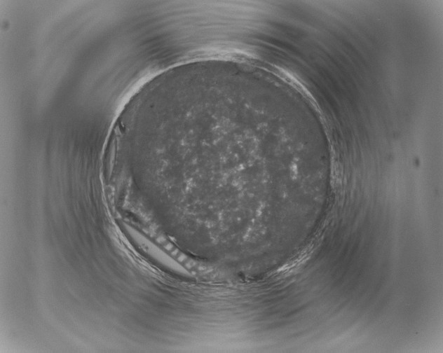 X0000053060899200508011911