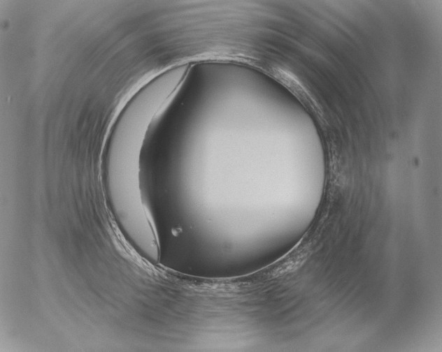 X0000053060900200508011911