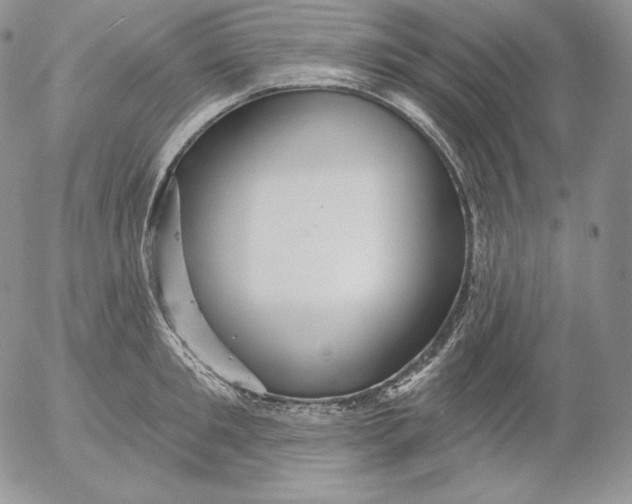 X0000053060901200508011911