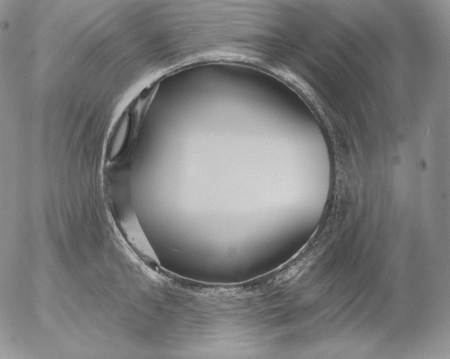 X0000053060902200508011911