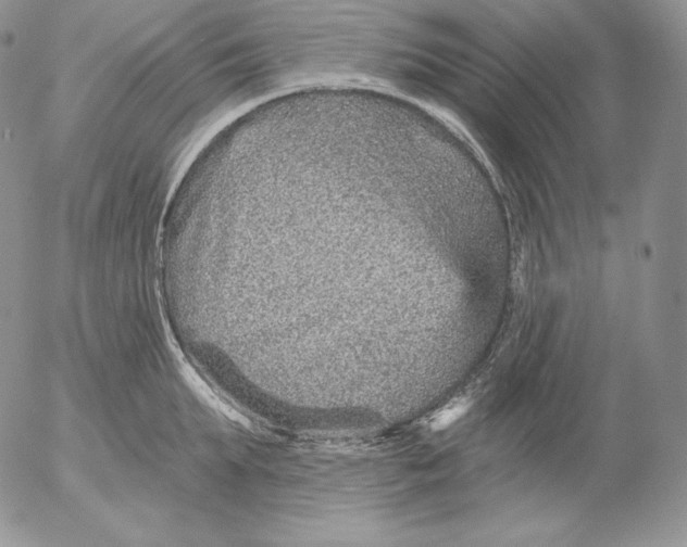 X0000053060903200508011911